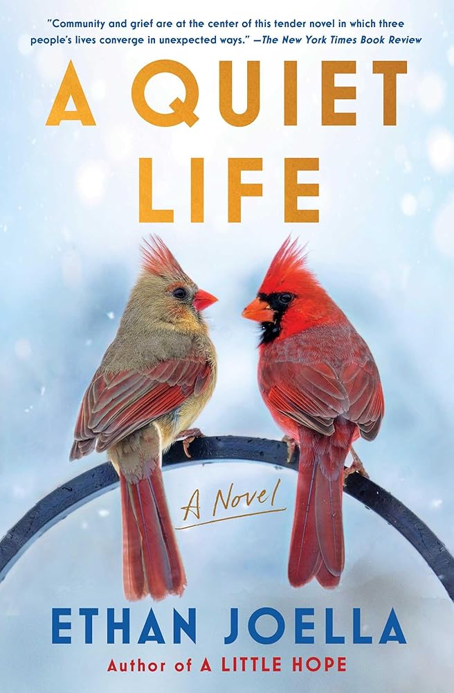 A Quiet Life: A Novel cover image