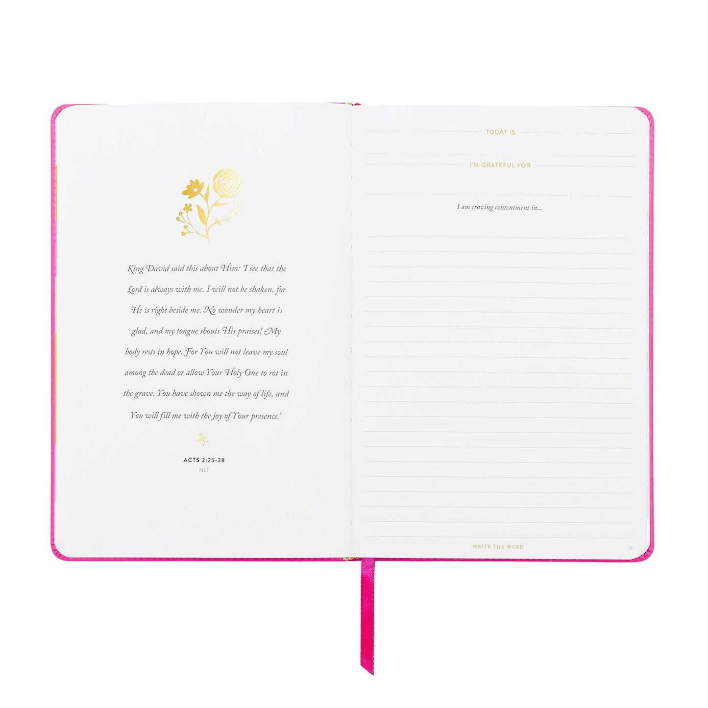 Write The Word® Journal | Cultivate Contentment (Linen)