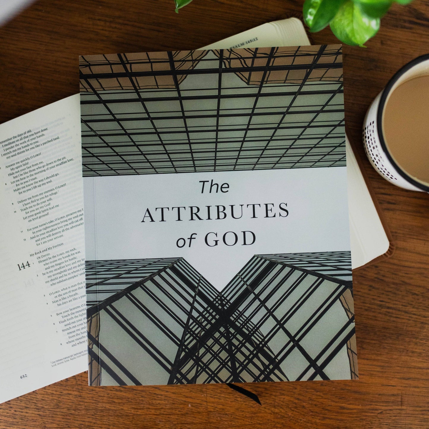 The Attributes of God Bible Study - Men