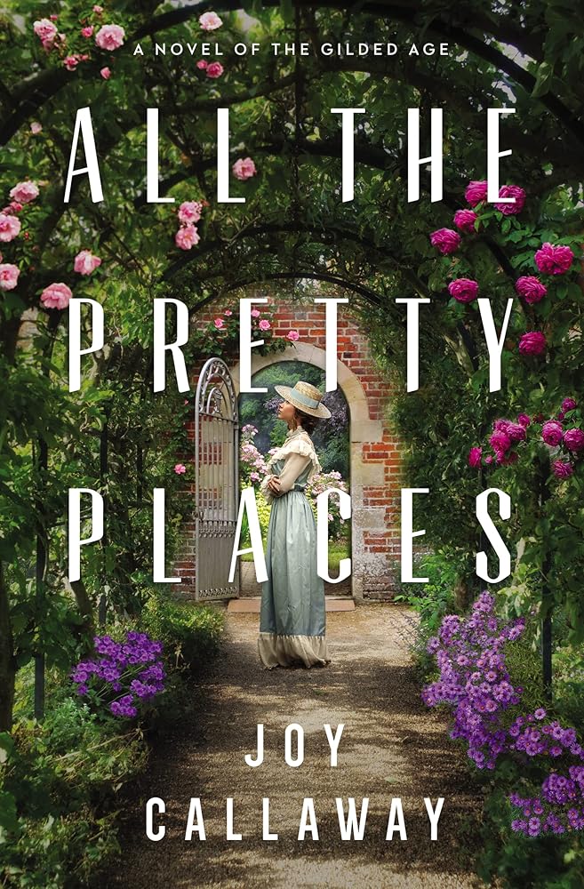 All the Pretty Places: A Novel of the Gilded Age cover image
