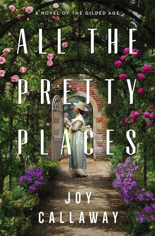 All the Pretty Places: A Novel of the Gilded Age cover image