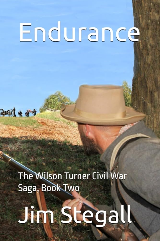 Endurance: The Wilson Turner Civil War Saga cover image