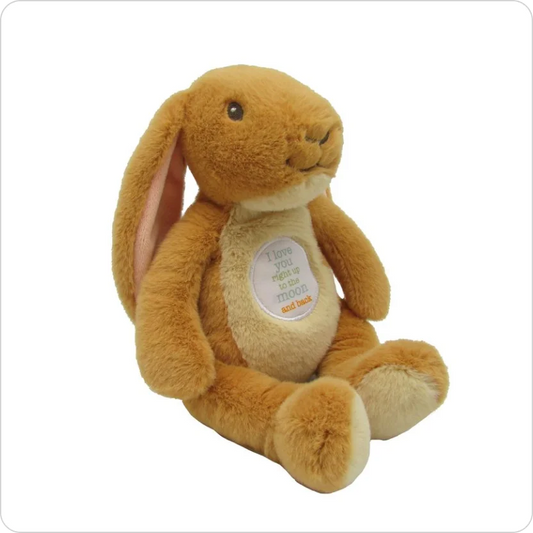 Guess How Much I Love You Bunny