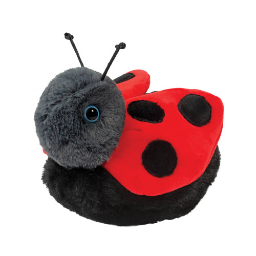 Ladybug