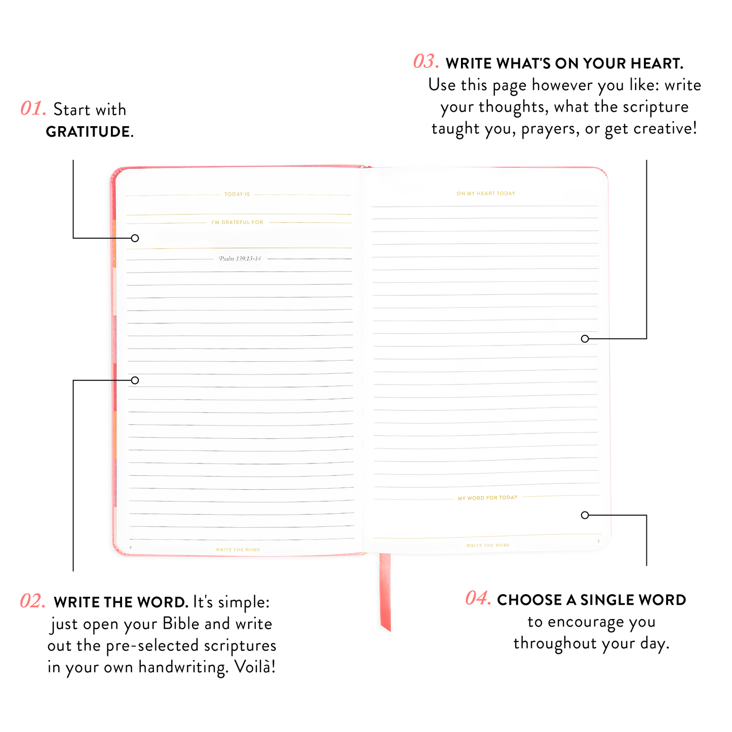 Write The Word® Journal | Cultivate Faith (NEW)
